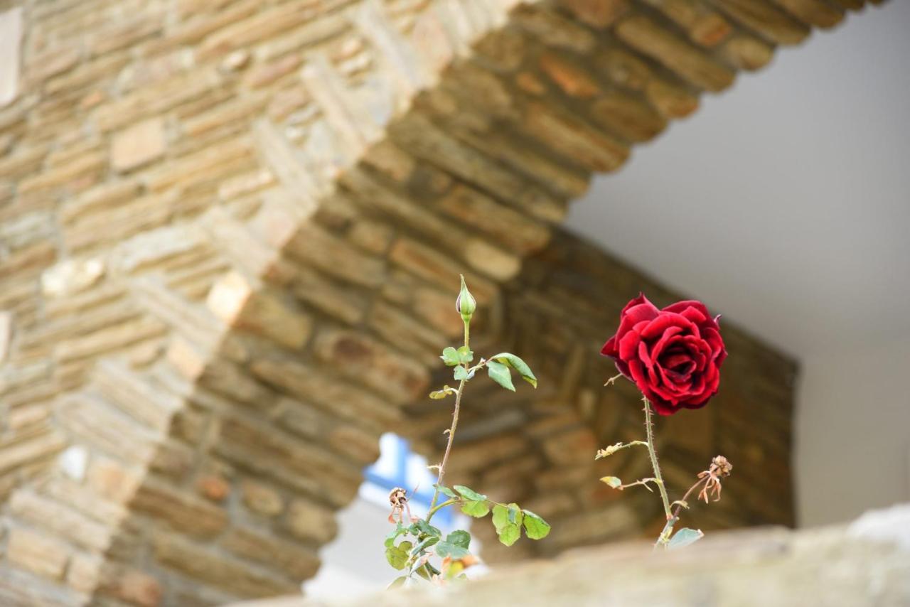 Andros Guesthouses Екстериор снимка